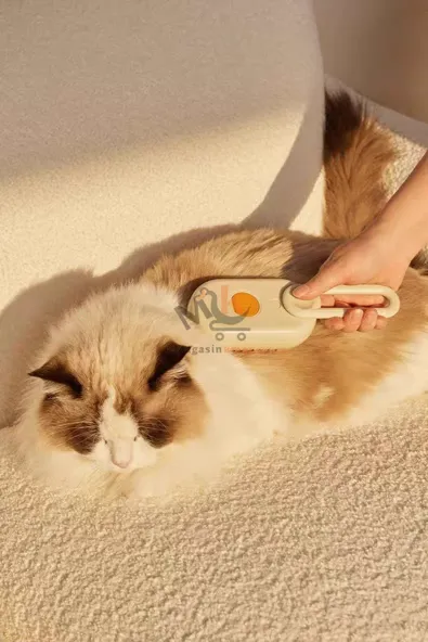 Brosse de massage pour animaux avec câble USB