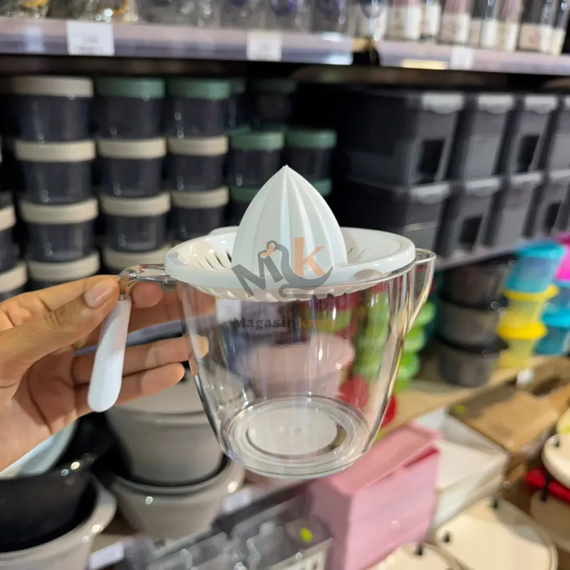 Mini presse-jus en plastique