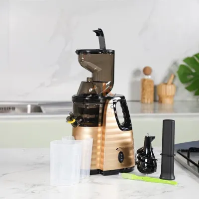 Extracteur De Jus 300W 400ML - Florence