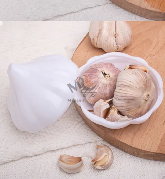 Boîte ail en plastique alimentaire – Rangement pratique pour ail et petits aliments