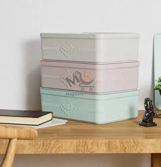 Boîte de rangement en plastique avec couvercle